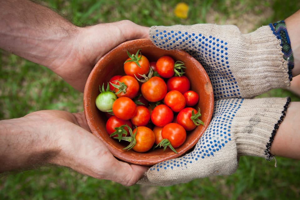 Lessons From the Early Church: Sermons & Generosity
